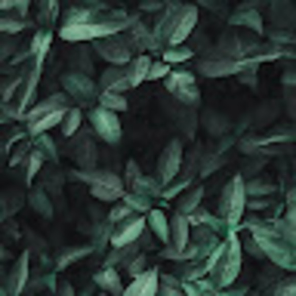 elsasoftich12